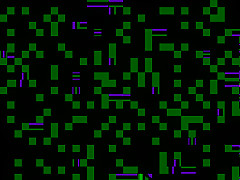 Almost Straight Goes To College