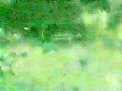 Centro Excursionista Gay – Camp Out