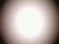 Cute Young Boy Rabid Is Devirginized By A Fat Cock