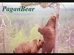 Deep sucking from hot fat guy