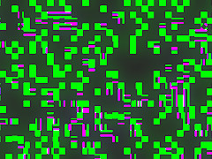 Ele esta pronto para a esporada