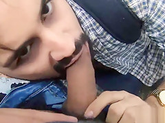 Numero 23 Lost Venezuelan Stud