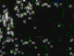 Boyfriends Tricked Into Threesome Bareback