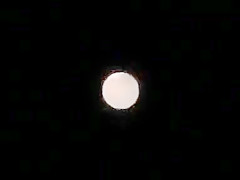 Horny male in best boyfriend homo adult scene