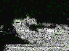 Mature Guy Sucking Cock