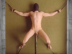 Fucking Machine Prostate Milking Compilation