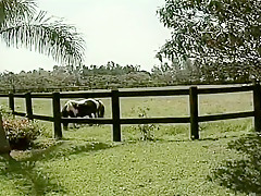 Two Ranch Hands Get Crazy On The Range