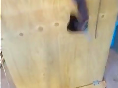 Ballbusting machine version 5