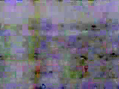 Chocolate Cream The Fucking Machine (HDK2003)