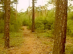 Naughty Guys Fucking In A Wood